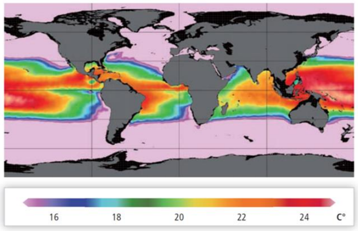 Renewable Energy Resources: Wave, Tidal, and Ocean Thermal Conversion ...